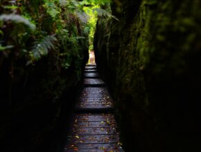 Drachenschlucht, Thüringen (Quelle: pixabay.com)