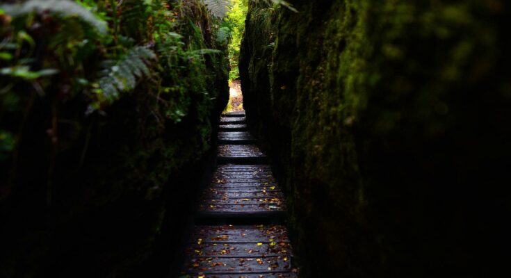 Drachenschlucht, Thüringen (Quelle: pixabay.com)