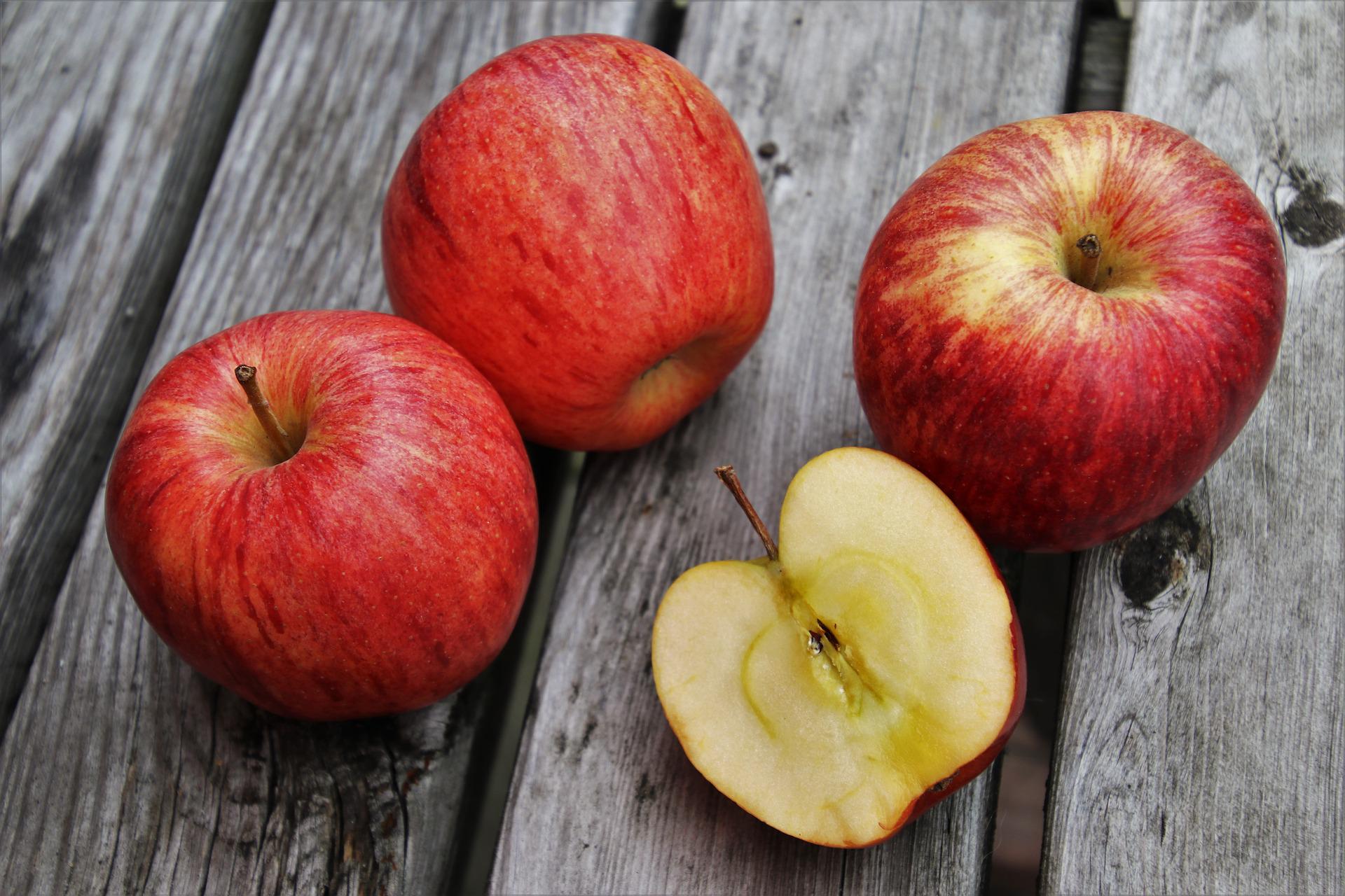 Apfel Brot Auflauf | FuchsMutter.de