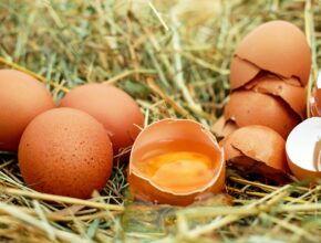Woran man erkennt, ob Eier gut sind. (Quelle: Pixabay.com)
