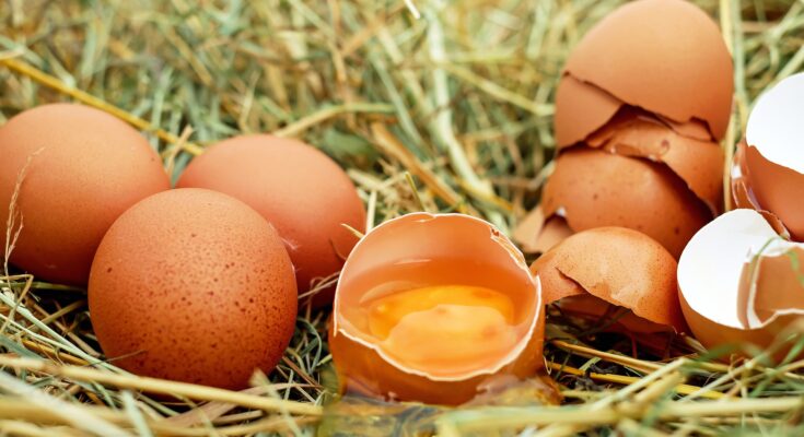Woran man erkennt, ob Eier gut sind. (Quelle: Pixabay.com)