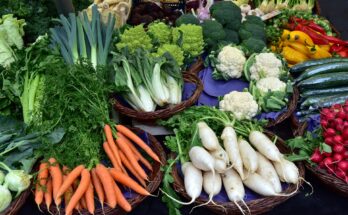 Saisonkalender Obst und Gemüse