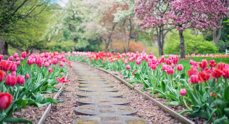 Aktivitäten im Frühling (Quelle: Pixabay.com)