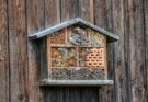 Insektenhotel bauen