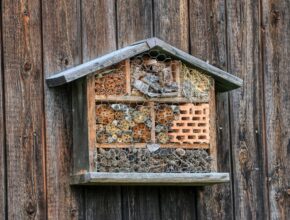 Insektenhotel bauen