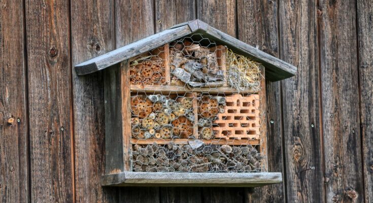 Insektenhotel bauen