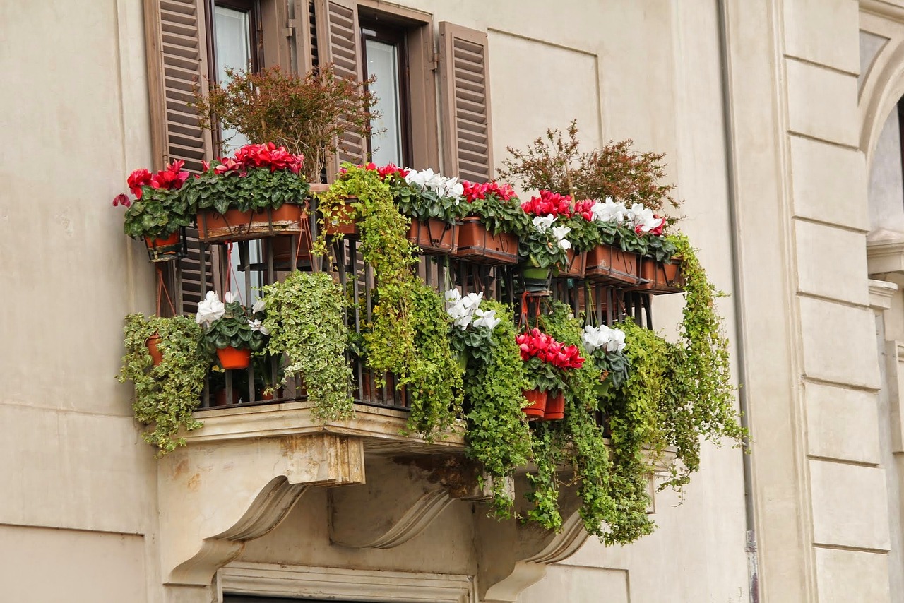 Hängepflanzen für deinen Balkon