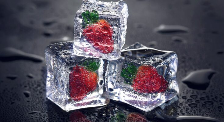 Eiswürfel mit Kräutern und Früchten