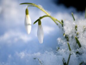 Hallo Februar!