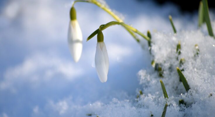 Hallo Februar!