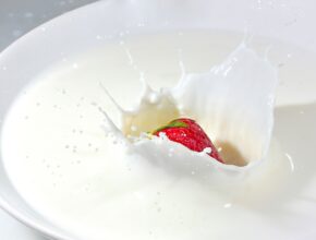 Sahne, Crème fraîche und Schmand