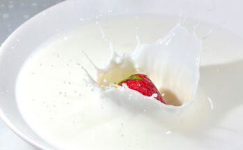 Sahne, Crème fraîche und Schmand