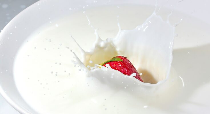 Sahne, Crème fraîche und Schmand