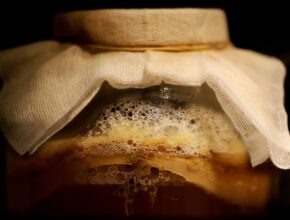 Kombucha