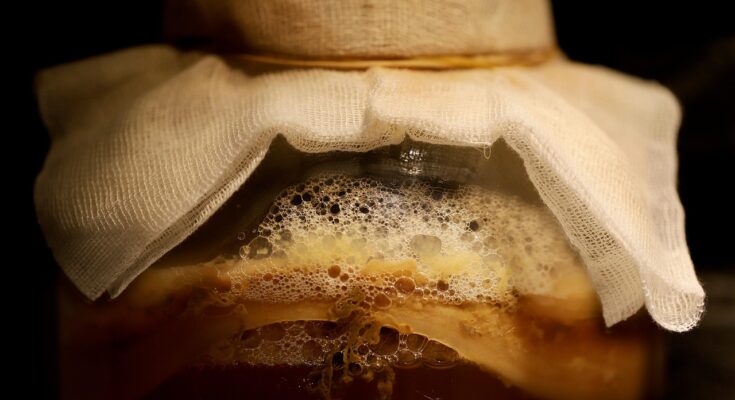 Kombucha