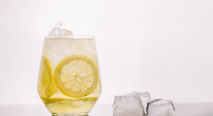 Zitronenwasser mit Zitronenscheiben in einem Glas, daneben Eiswürfel