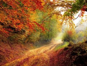 Herbstmüdigkeit