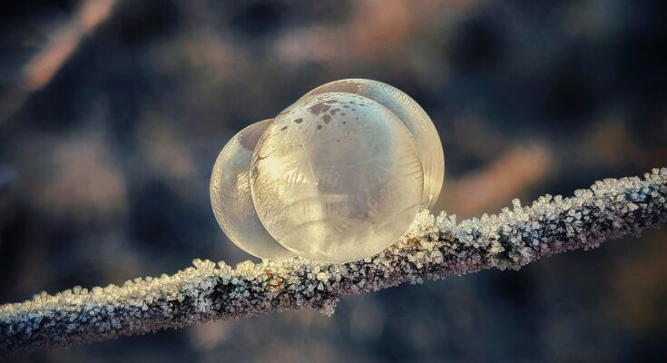 Ein frostiger Zweig mir drei gefrorenen Eiskugeln darauf.