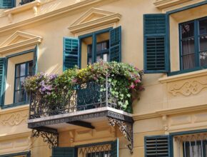 Balkon & Garten Projekte für Einsteiger